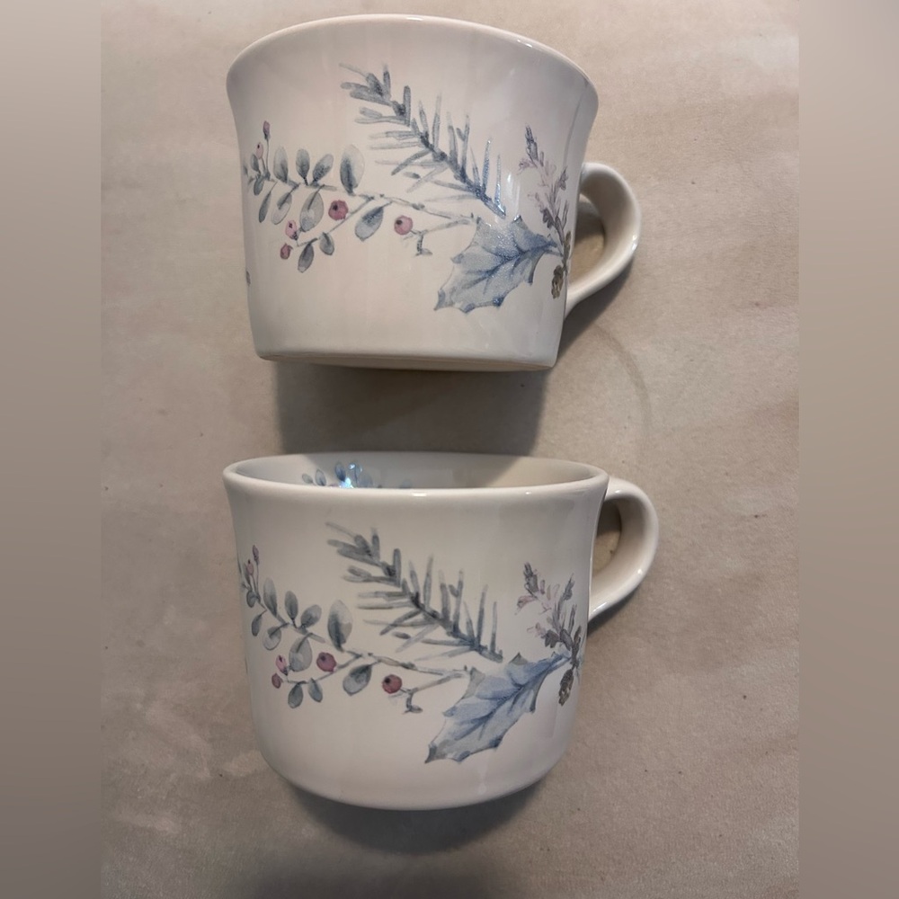 Pfalztgraff Winter Frost set of 2 mugs
